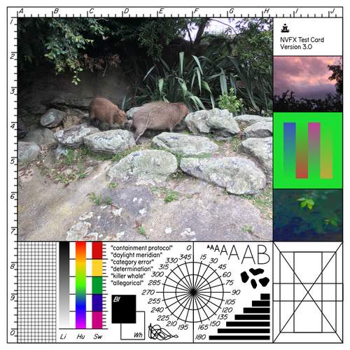 An image for testing image effects.